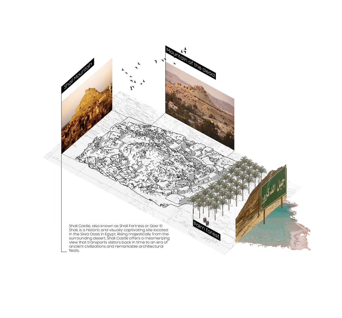 A journey Through Art — board 8