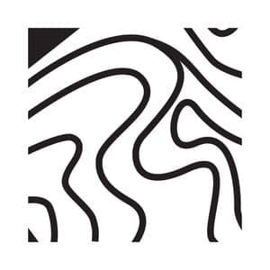 Module — team discipline